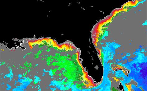 1% of the ocean’s surface is still a lot of <b>seaweed</b>. . Where is the seaweed blob now map
